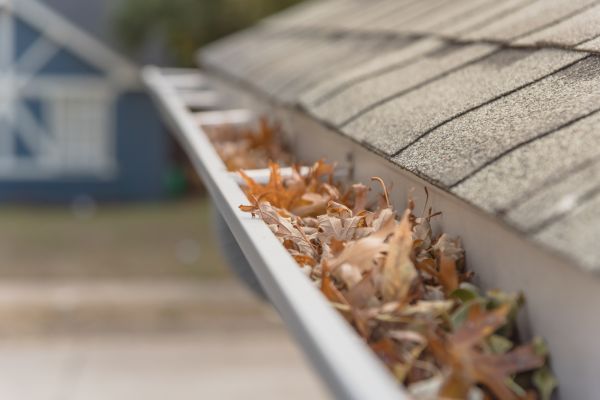 Leaf Barrier Installation in Shawnee